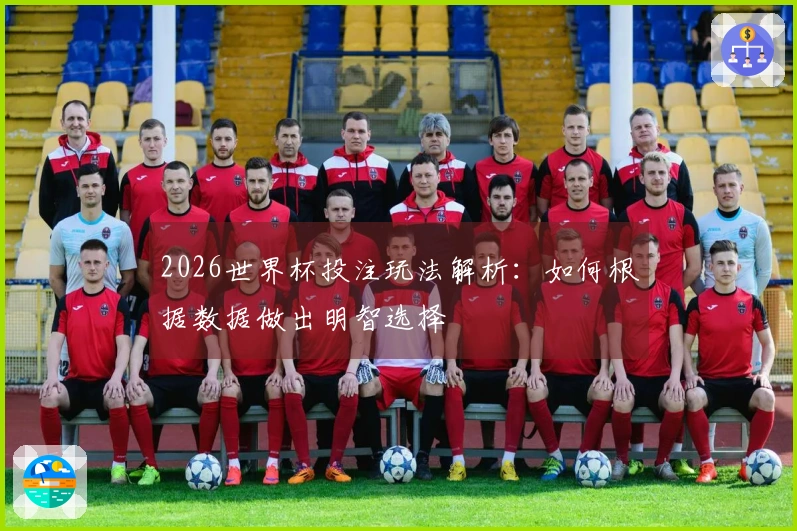 2026世界杯投注玩法解析：如何根据数据做出明智选择