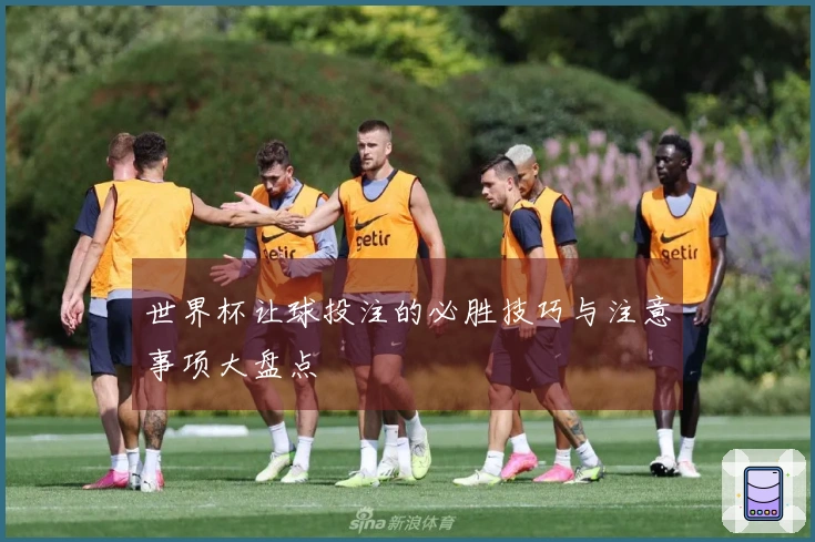 世界杯让球投注的必胜技巧与注意事项大盘点