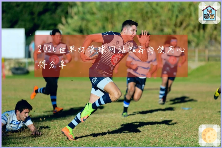 2026世界杯滚球网站推荐与使用心得分享