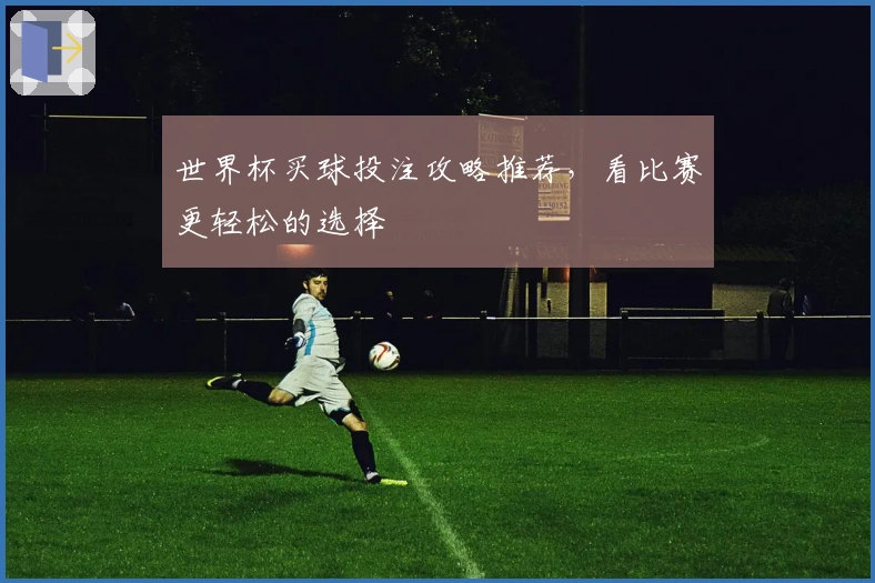 世界杯买球投注攻略推荐，看比赛更轻松的选择