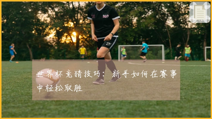 世界杯竞猜技巧：新手如何在赛事中轻松取胜