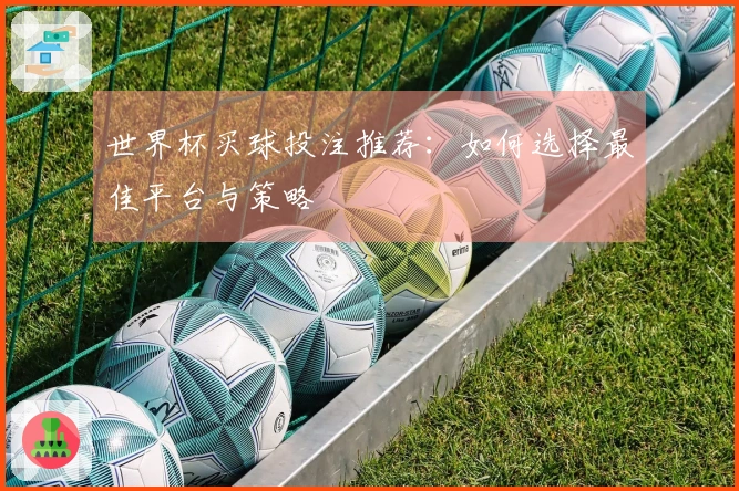 世界杯买球投注推荐：如何选择最佳平台与策略