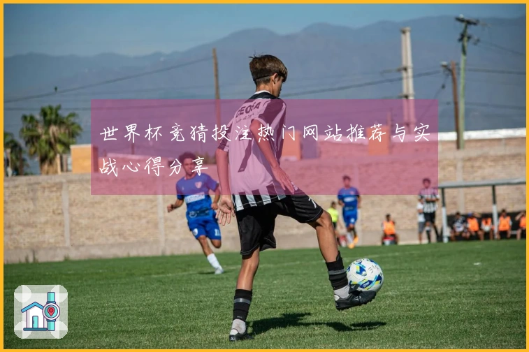 世界杯竞猜投注热门网站推荐与实战心得分享