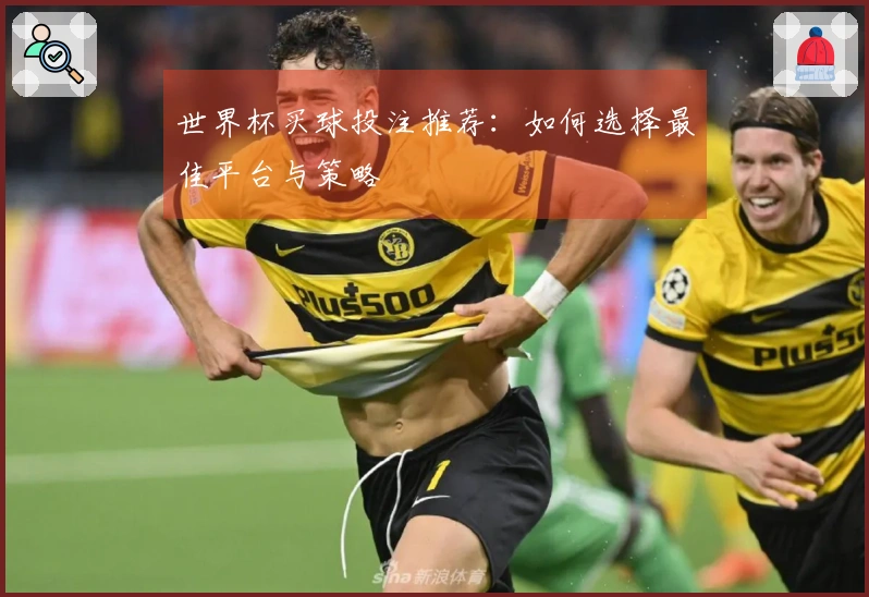 世界杯买球投注推荐：如何选择最佳平台与策略