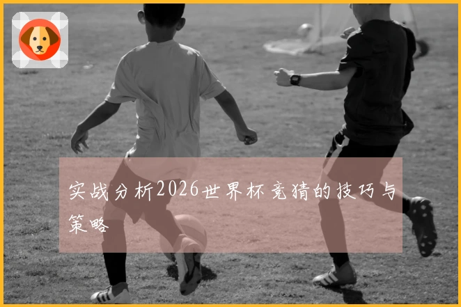实战分析2026世界杯竞猜的技巧与策略